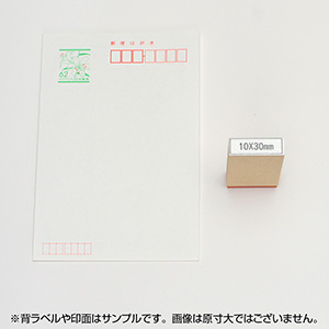 一般用途[感光樹脂]  データ入稿 木台ゴム印 10×30mm