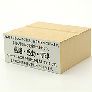 耐油ゴム印 テキスト入稿 28×63mm